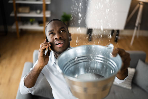 Best Flood damage cleanup  in Bellville, OH
