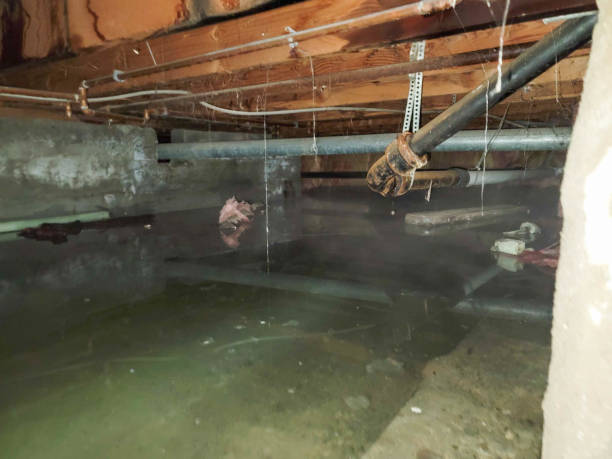 Professional Water damage restoration in Bellville, OH
