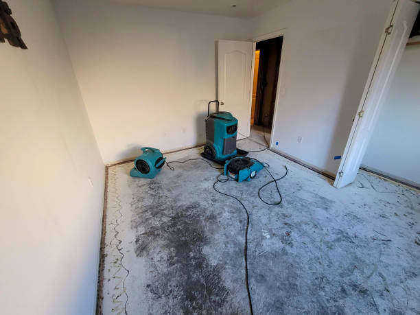 Best Water damage restoration specialists  in Bellville, OH