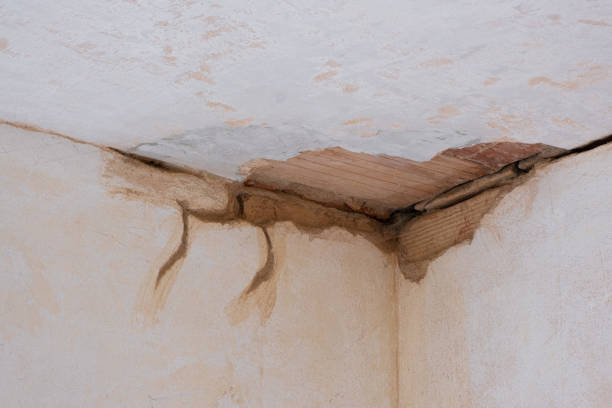 Best Fire Damage Restoration  in Bellville, OH