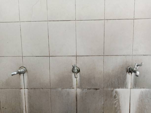 Best Commercial water damage restoration  in Bellville, OH