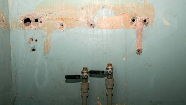  Bellville, OH Water damage restoration Pros