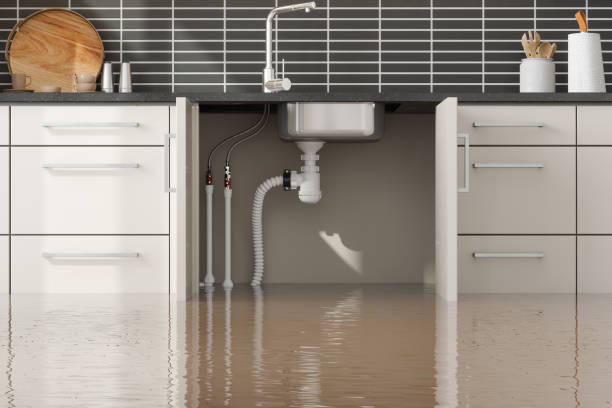Best 24-hour water damage restoration  in Bellville, OH