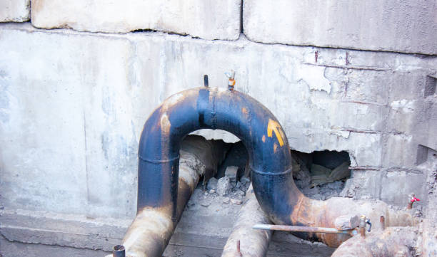 Best Carpet water damage restoration  in Bellville, OH